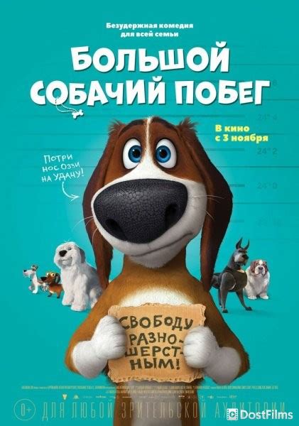 «Большой собачий побег » 
 2024.04.27 16:03 смотреть онлайн мультфильм в хорошем качестве бесплатно

